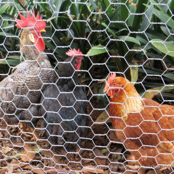 China Factory Hot Dipped Galvanized Hexagonal Chicken Netting Kenya PVC Coated Wire Mesh